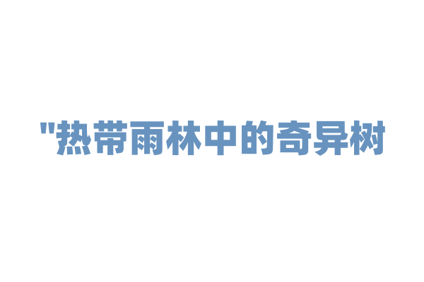 "热带雨林中的奇异树——如何在水下生长？"